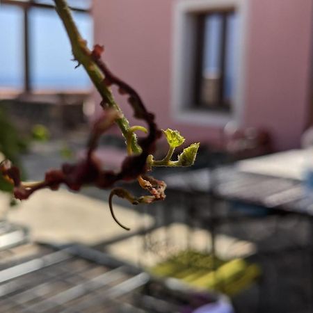 Bed and Breakfast Horizon Pantelleria Campobello Экстерьер фото