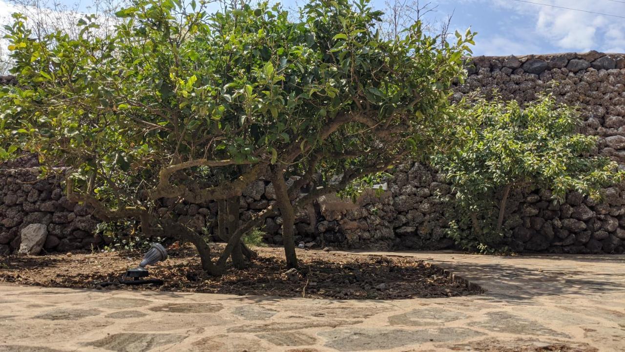 Bed and Breakfast Horizon Pantelleria Campobello Экстерьер фото