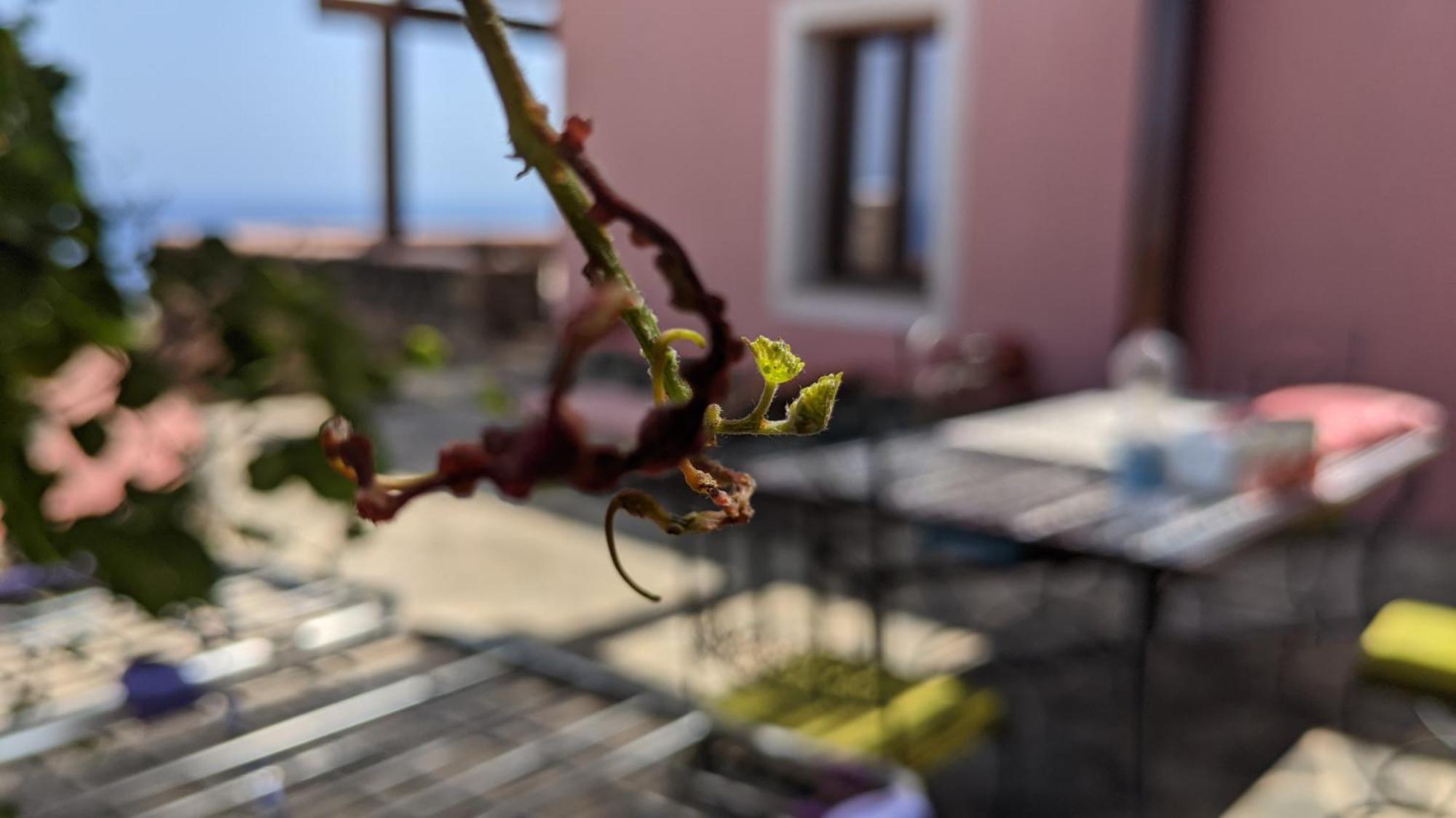 Bed and Breakfast Horizon Pantelleria Campobello Экстерьер фото